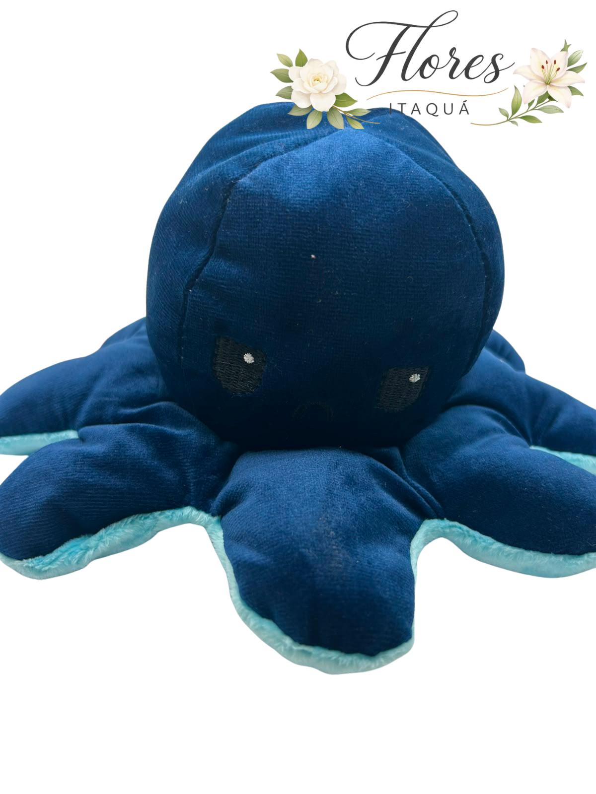 Comprar Polvo Azul  Dupla Face – Pelúcia de Humor na Itaqua Flores