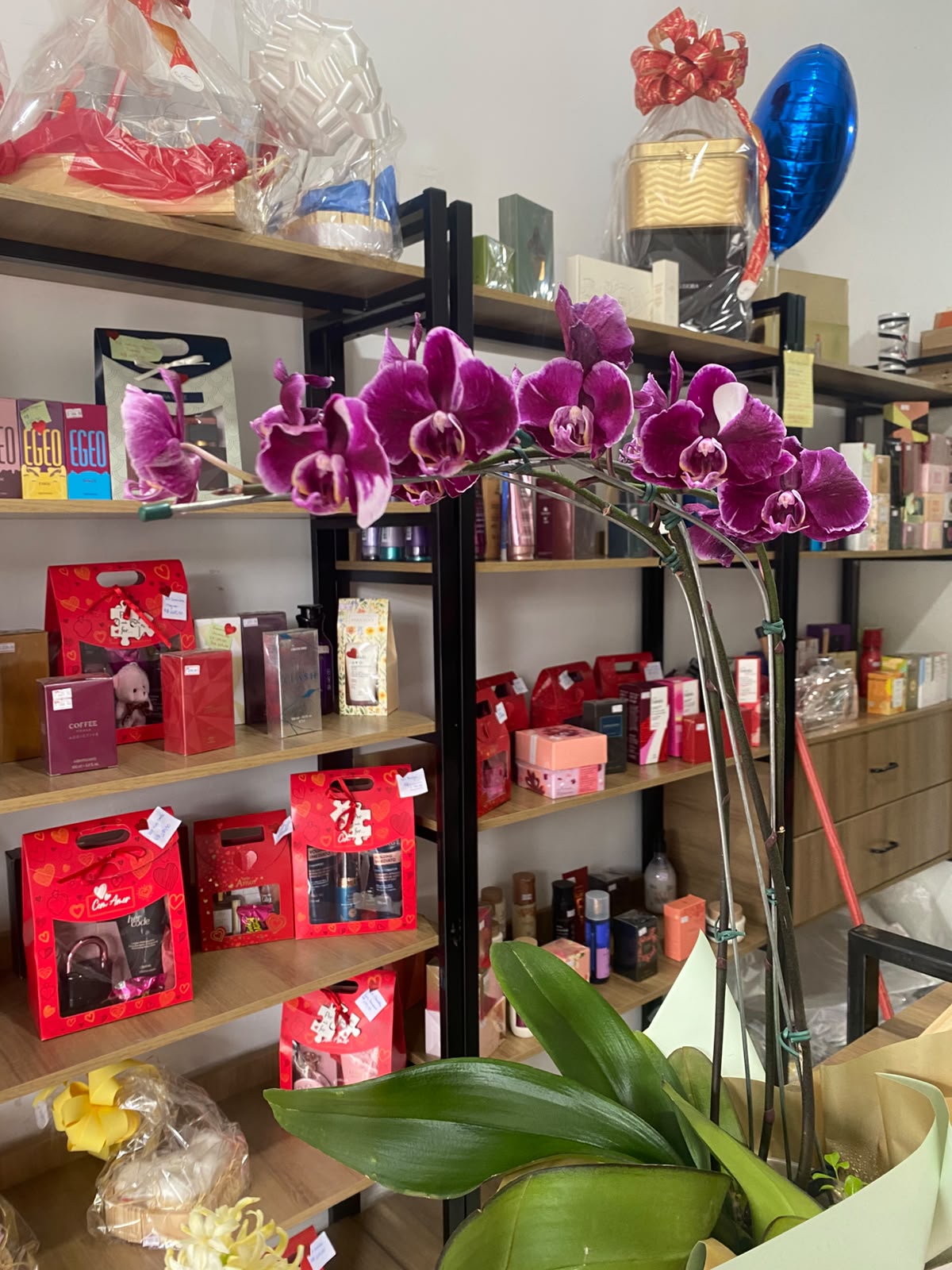 Comprar Orquídea Phalaenopsis na Itaqua Flores