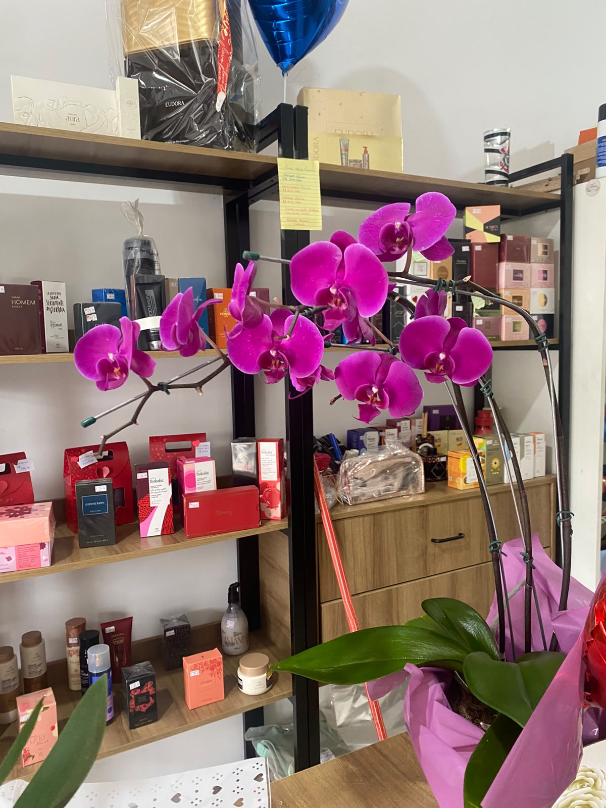 Orquídea Phalaenopsis