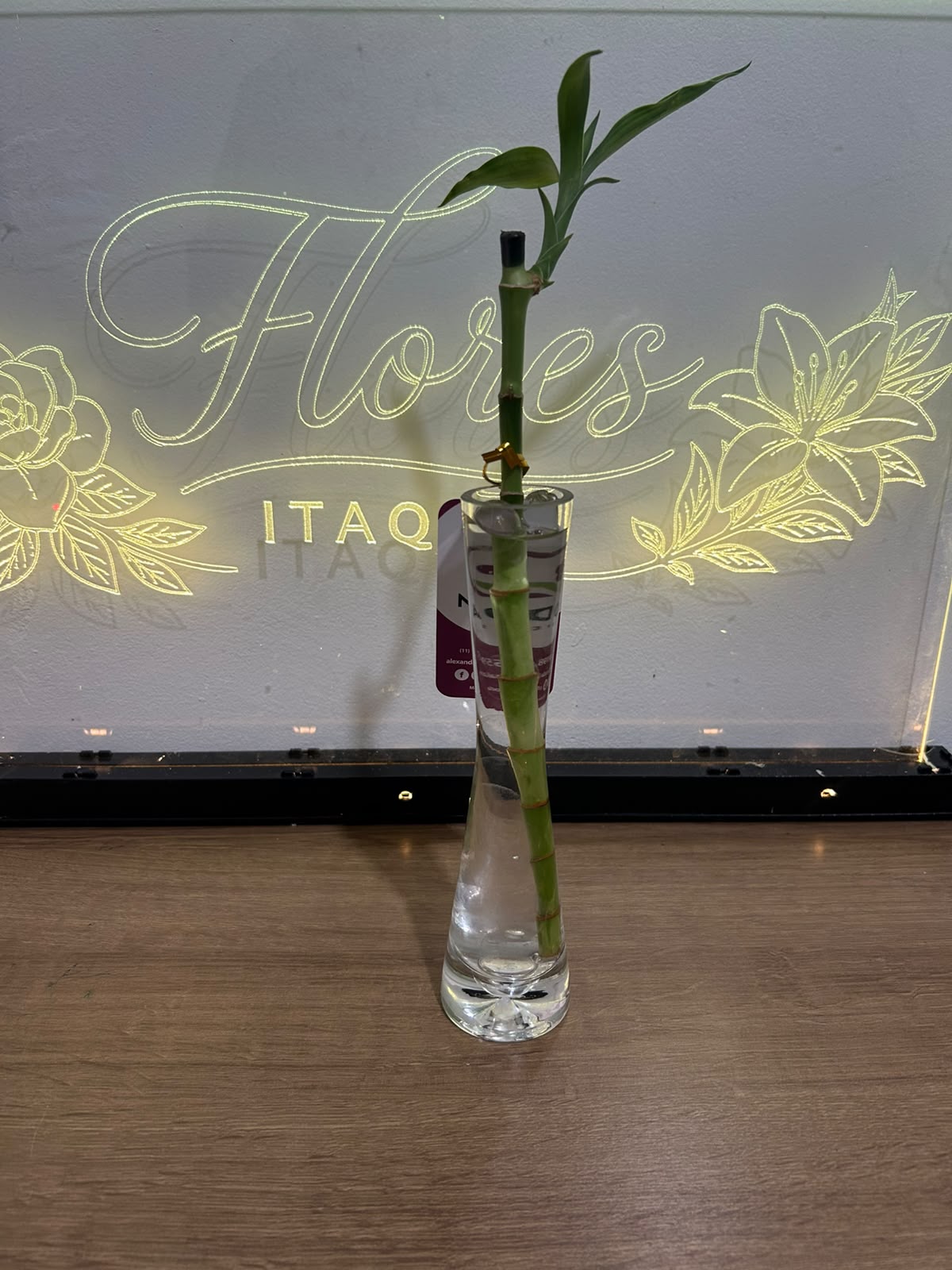 Comprar Bambu da Sorte no Vaso de Vidro com Bolinhas de Gel na Itaqua Flores
