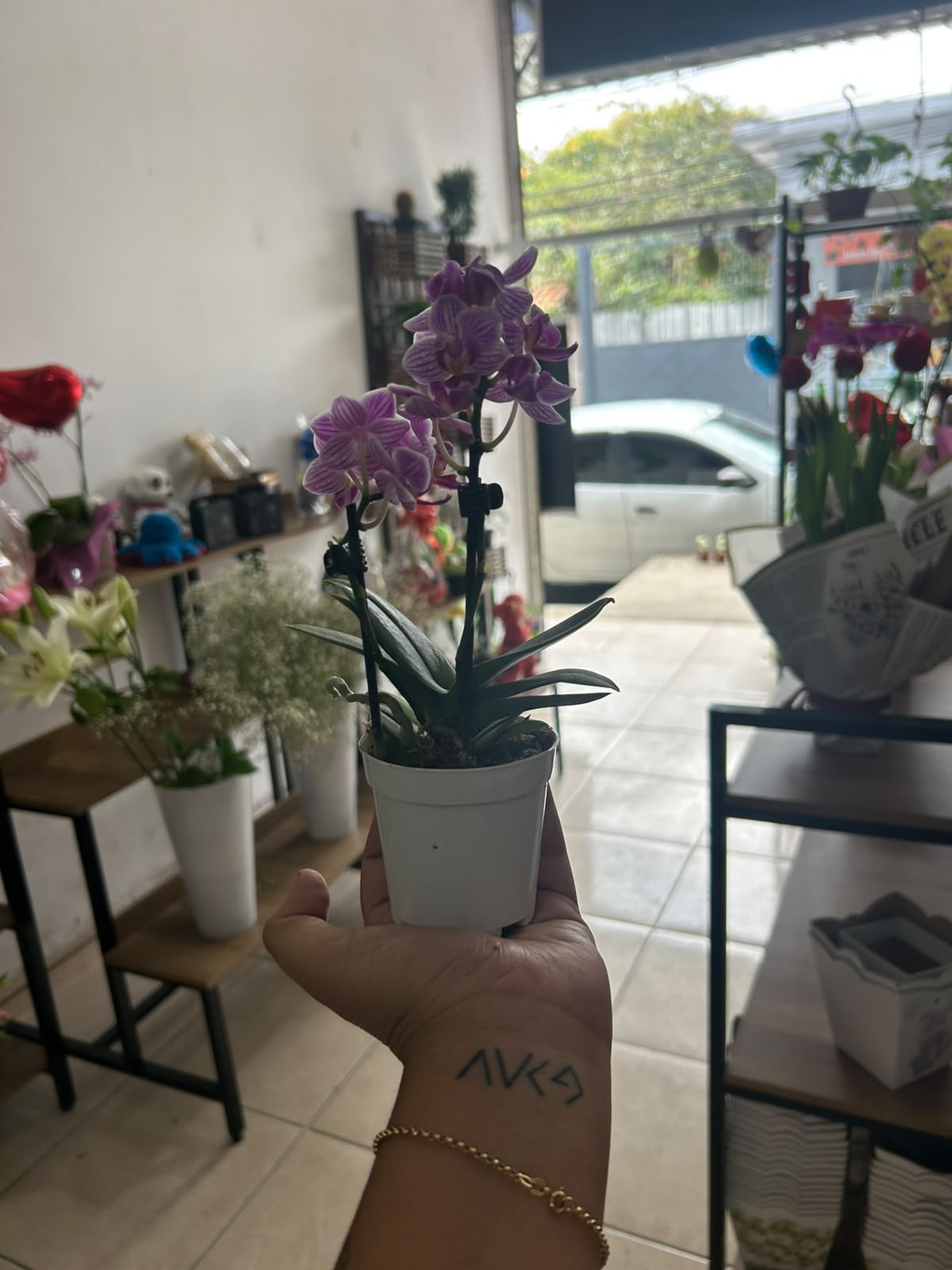 Mini Orquídea